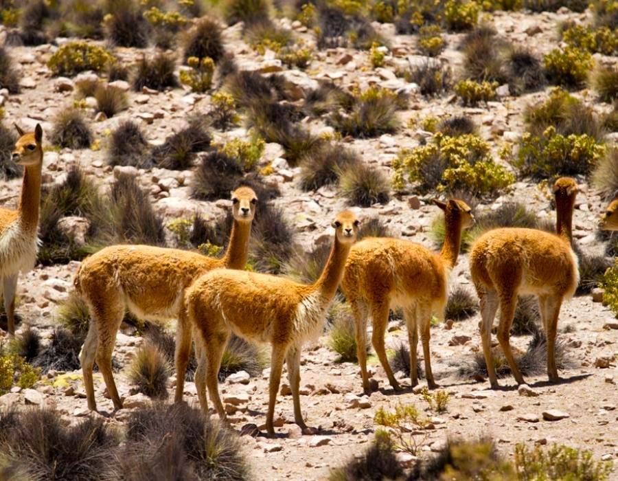 Foto del tour