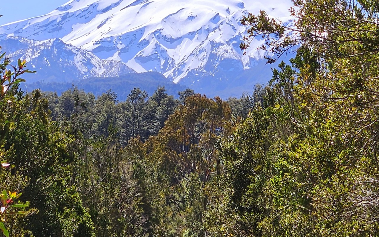 Foto del tour