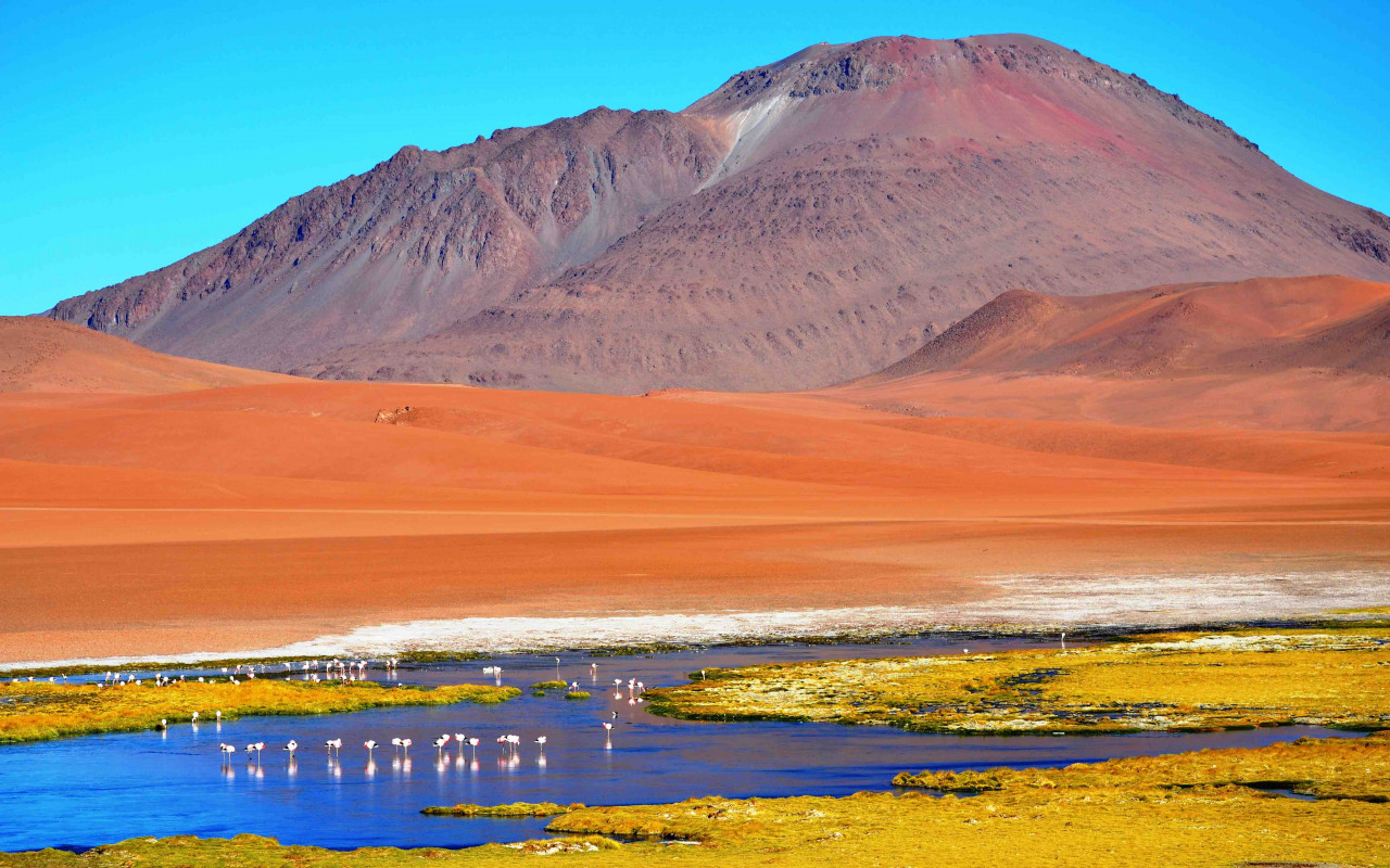 Tour al Salar de Tara (octubre a marzo) Tours en Latinoamérica