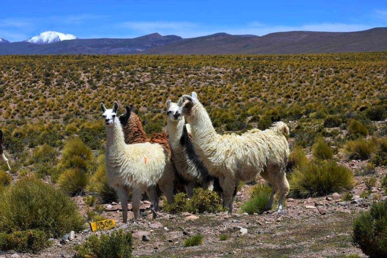 Foto del tour