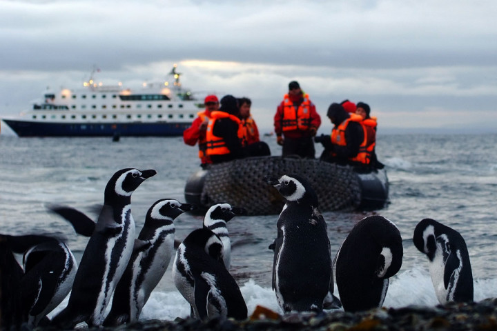 Crucero Antartica21- Ruta Antártida Clásica 