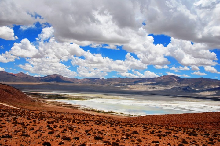 Tour al Salar del Huasco Parque Nacional