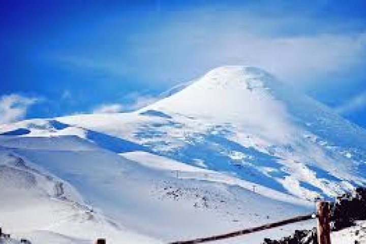 Explora la Maravillosa Naturaleza: Tour Parque Nacional Alerce Andino (Laguna Triangulo)