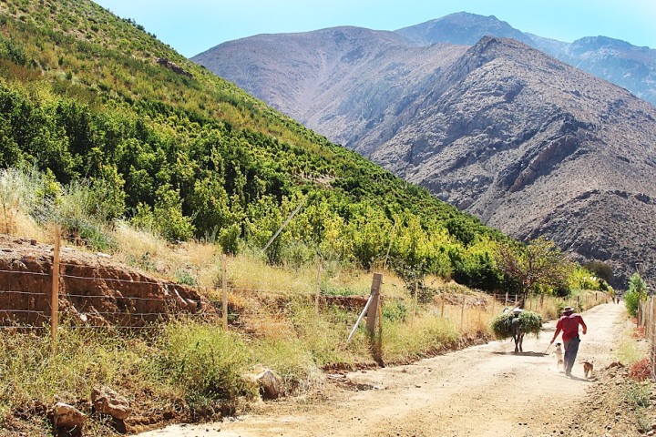 Elqui Ancestral