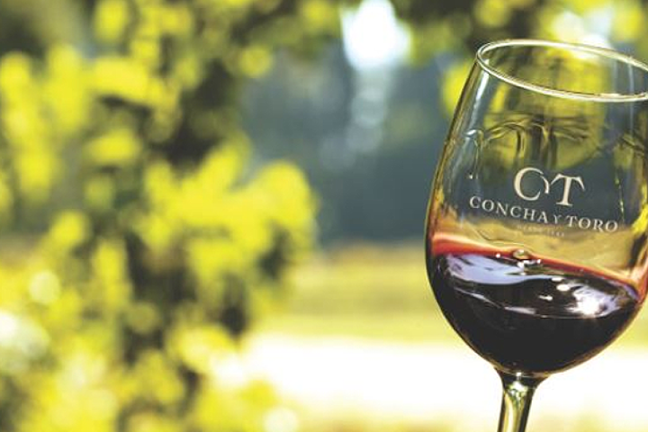 Tour Concha y Toro Márques de Casa Concha Premium, incluye traslados