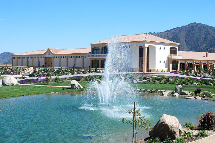 Tour por Viña Veramonte (tour Casona)