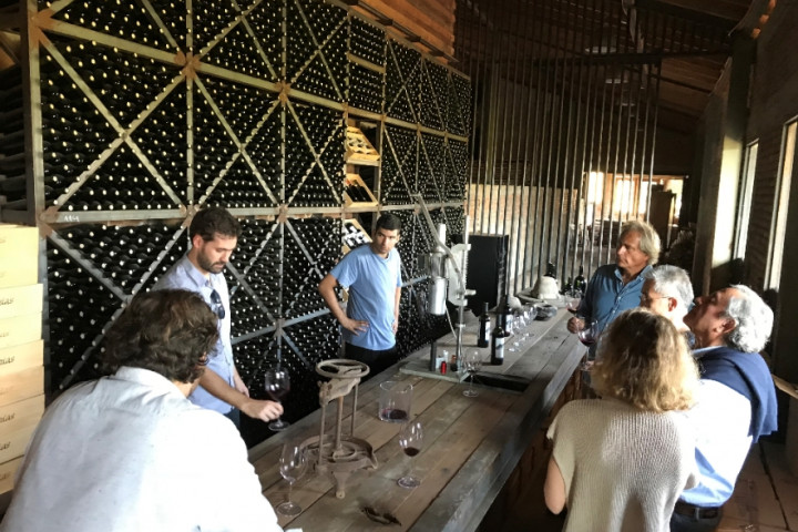 Tour del vino chileno en Vinolia