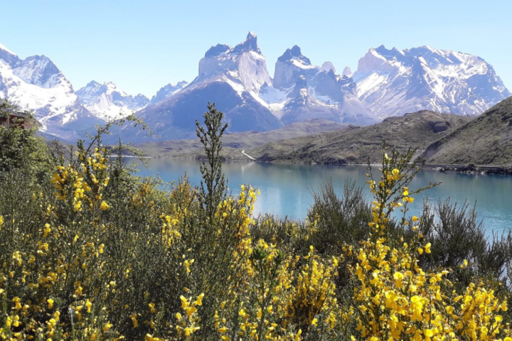 PACK  FULL DAY TORRES DEL PAINE+TREKKING BASE TORRES +GLACIAR  BALMACEDA SERRANO /Salida desde Puerto Natales/3 Días