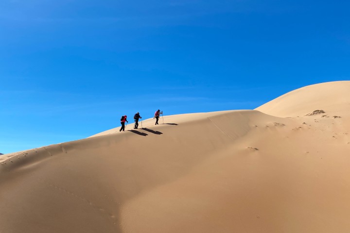 Desierto Florido en el Desierto de Atacama