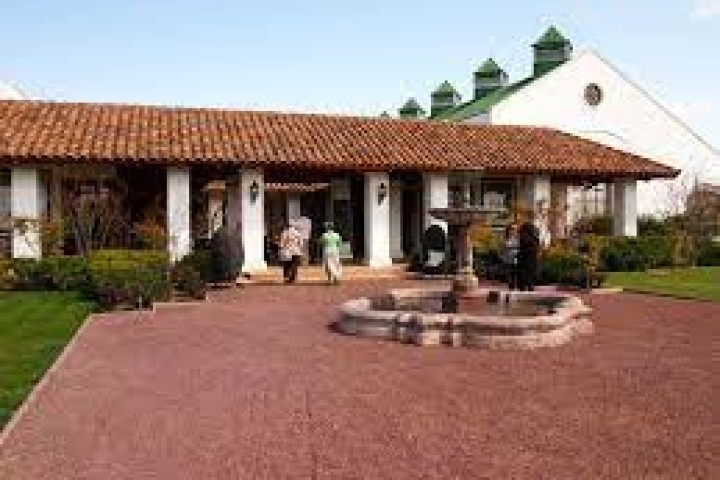 Tour Viña Casas del Bosque, incluye traslados
