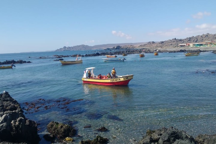 Excursion Chañaral de Aceituno con avistamiento de Ballenas