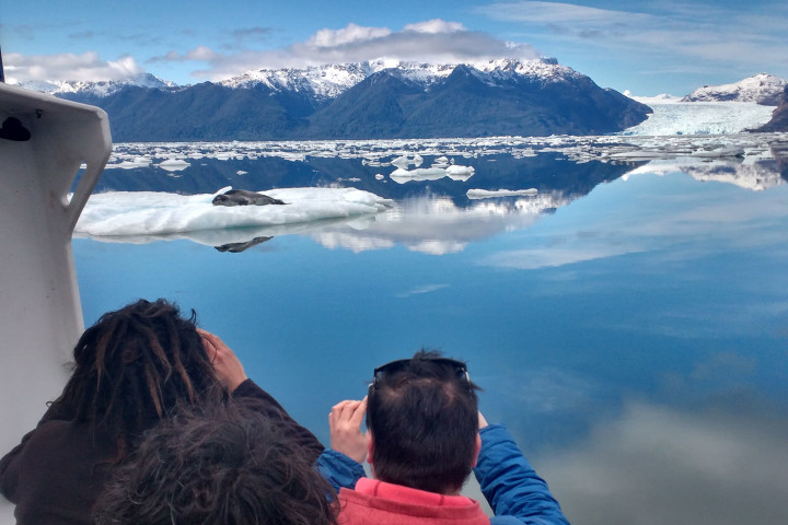 Full day Laguna San Rafael desde muelle de Bahía Exploradores