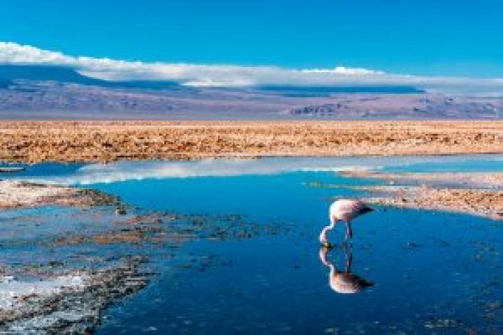 Lagunas y seismiles de Atacama