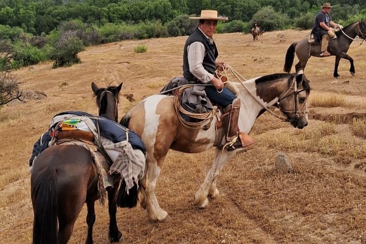 Vinos y Campo Lindo en Pirque: Tradición, Sabor y Naturaleza