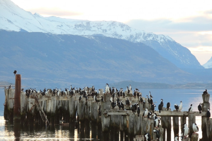 Tour histórico por Puerto Natales, Puerto Consuelo, Puerto Prat y Puerto Bories
