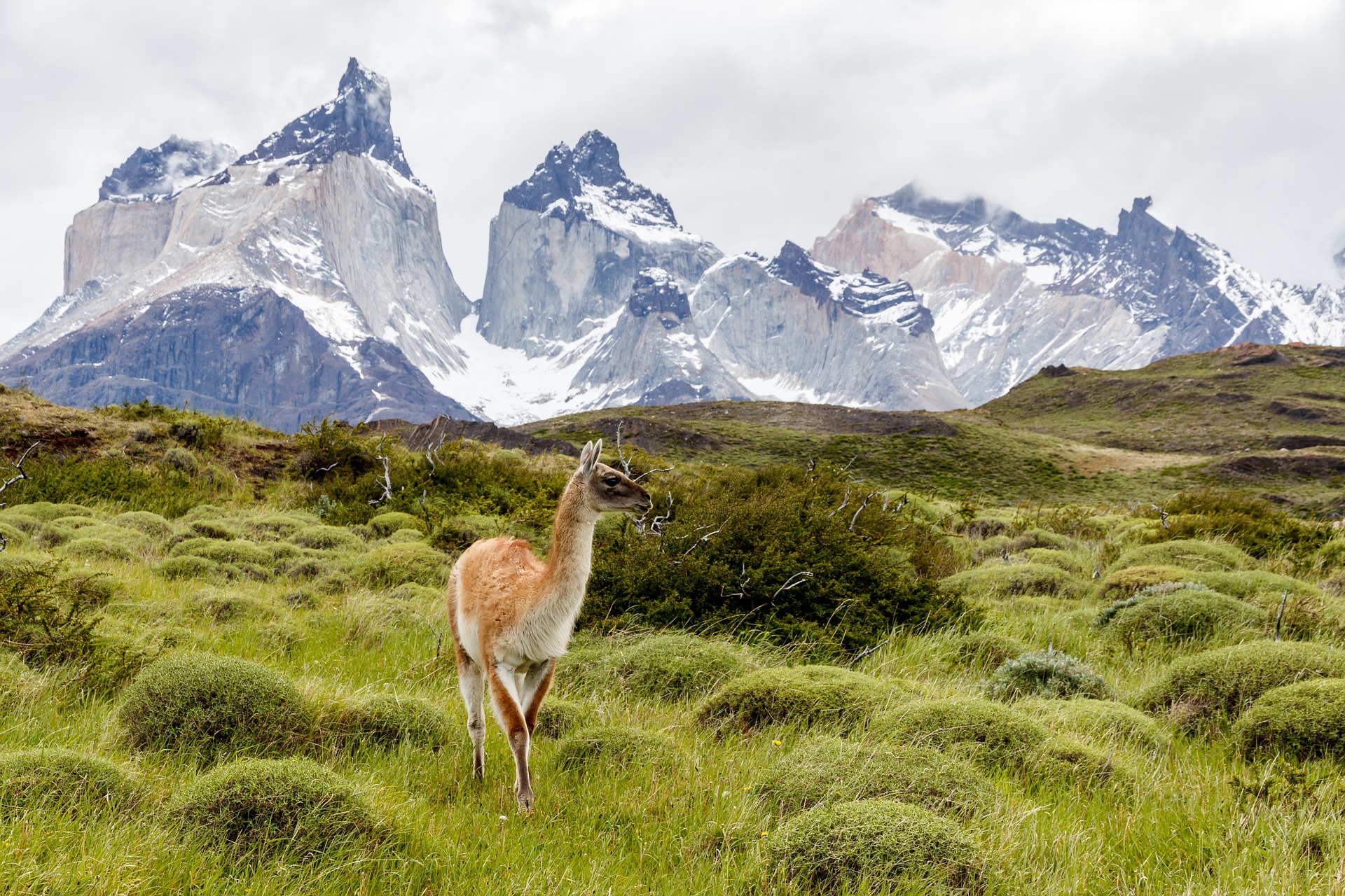 Guía completa para hacer el circuito W en Torres del Paine 2023 - Los