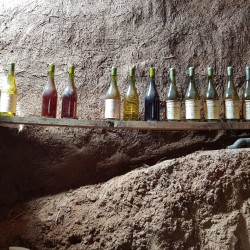 Cata Social de Vinos Naturales del Valle de Marga Marga