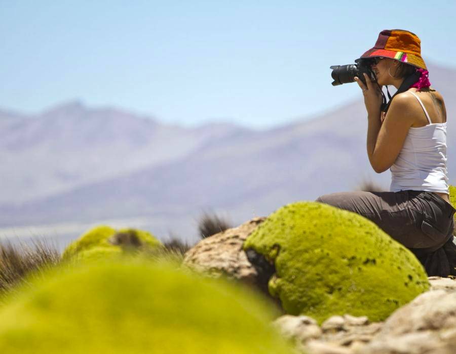 Safari Fotográfico al Salar de Surire y Volcán Isluga Parque Nacional (2 Días - 1 Noche)