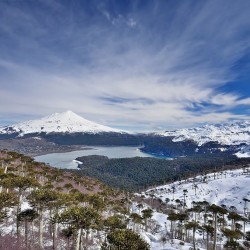 Invierno en Parque Nacional Conguillio