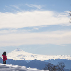 BOSQUE NEVADO EN HUILO HUILO
