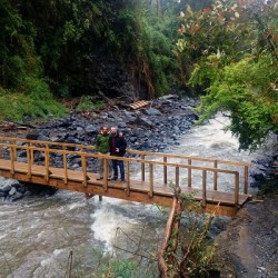 Circuito Lago Llanquihue + Cascadas