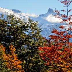 Festival de colores en Aysen, Viaje Signature, otoño 2025 