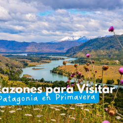 5 Reasons to Visit Patagonia in Spring: The Charm of Aysén