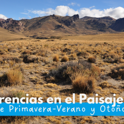 The Differences in Patagonia's Landscape Between Spring-Summer and Autumn