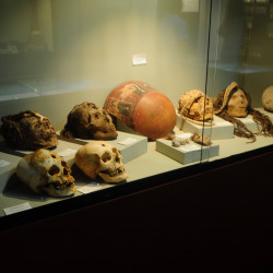 Visita al Museo Arqueológico Antonini en Nazca