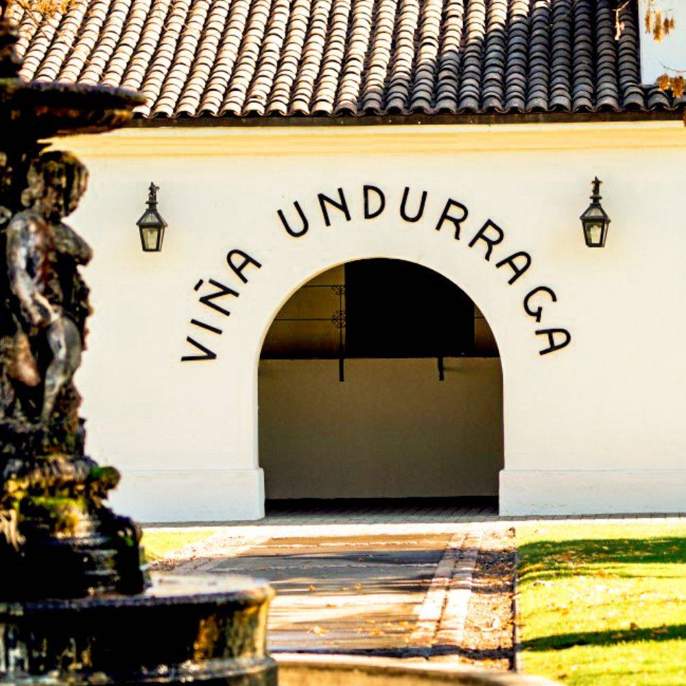 Viña Undurraga Tour Sibaris