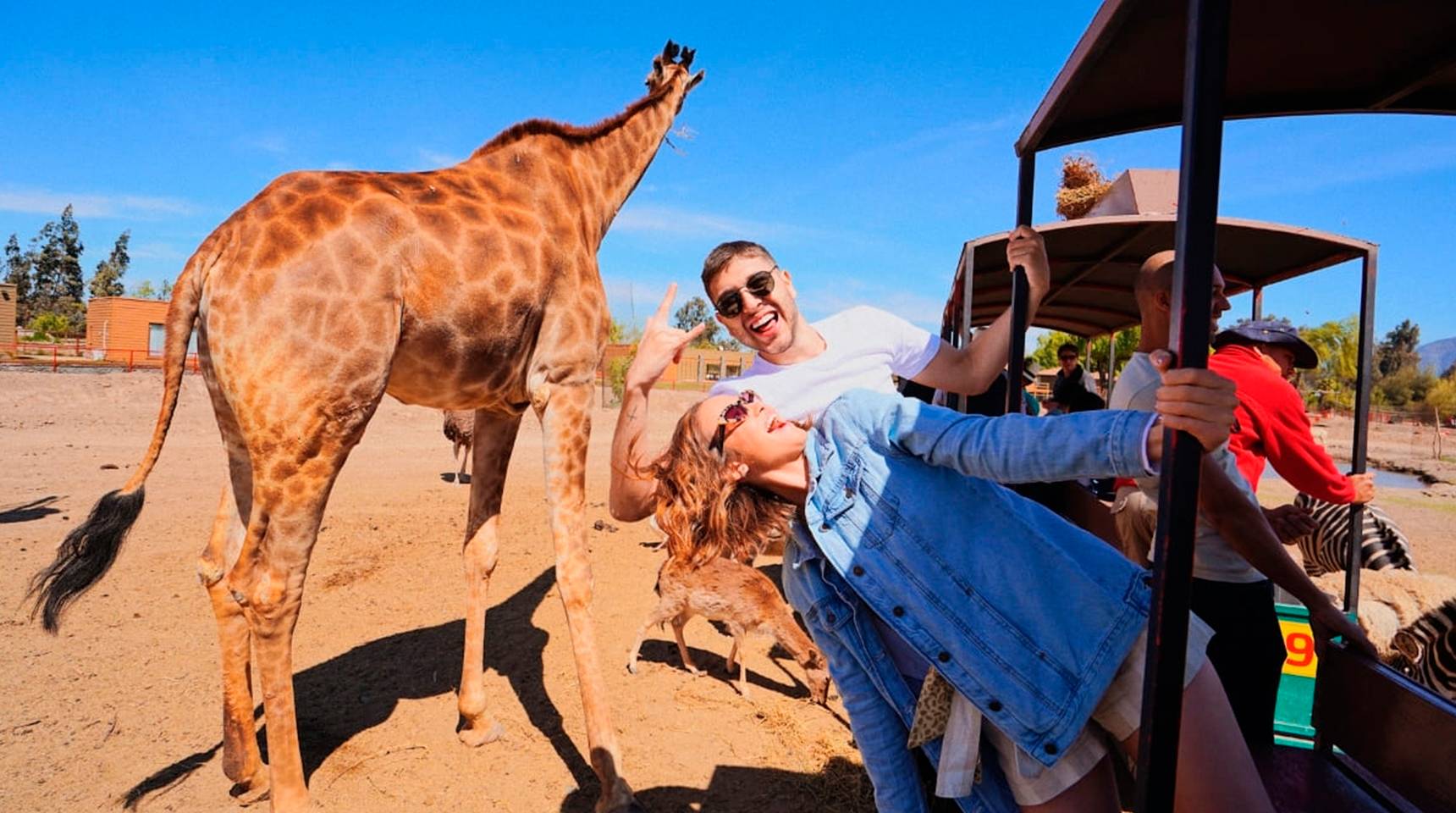 Aventura en Parque Safari
