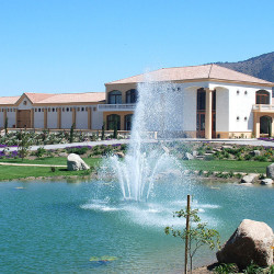 Tour Vinos y Tradiciones 