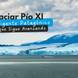 El Glaciar Pío XI: El Gigante Patagónico que Sigue Avanzando