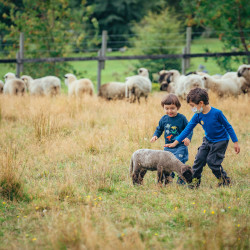 Viaje al campo sureño