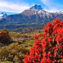 Oferta Carretera Austral en Mallin Colorado Ecolodge 15% descuento