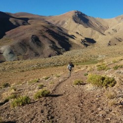 Trekking Sendero de Chile Pinte – San Félix                           