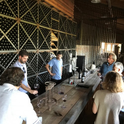 Cata de vinos en Viña Las Araucarias (para 2 personas)