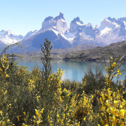 PACK  FULL DAY TORRES DEL PAINE+TREKKING BASE TORRES +GLACIAR  BALMACEDA SERRANO /Salida desde Puerto Natales/3 Días