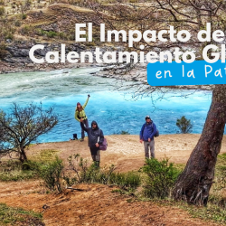 El Impacto del Calentamiento Global en la Patagonia: Observaciones de Campo