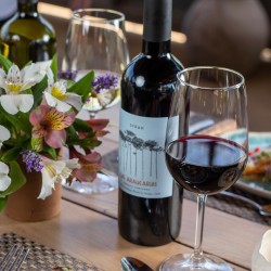 Visita al viñedo con almuerzo en Viñas las Araucarias 2023