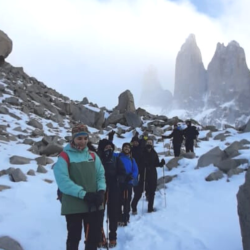 PACK Tour Torres del Paine + Base Torres + Glaciar Grey  - 3 dias