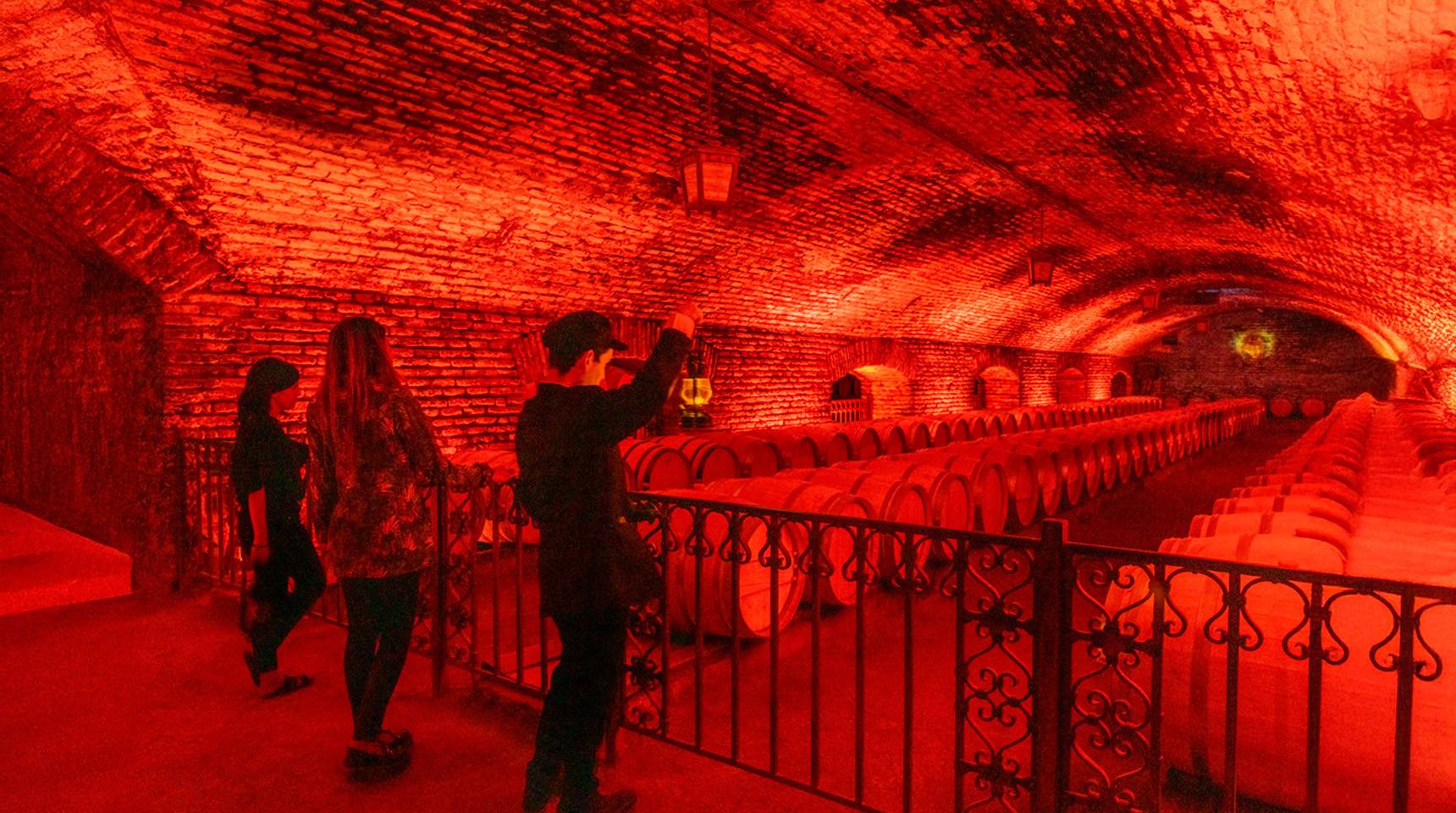 Viña Concha y Toro Tour Nocturno