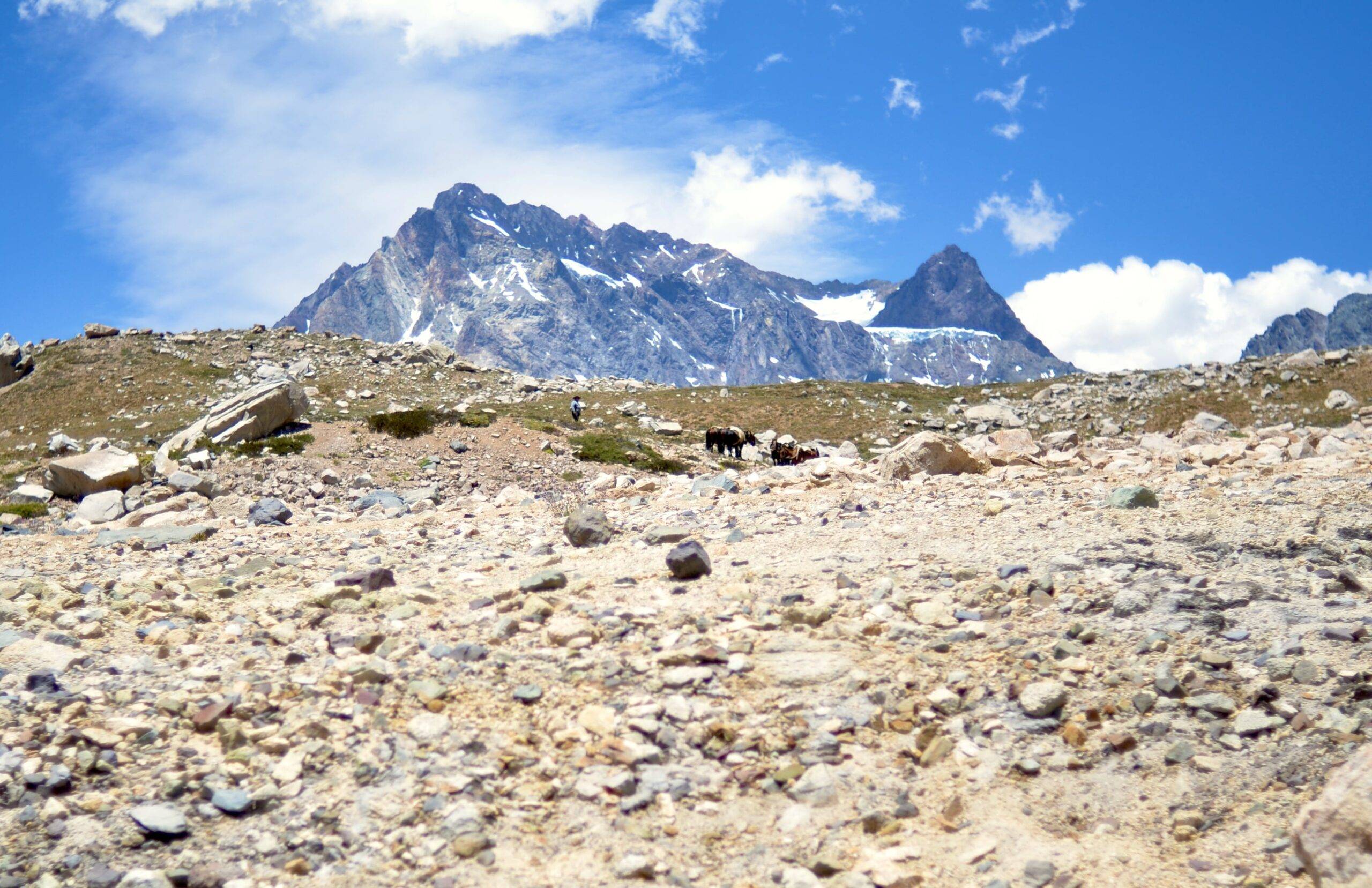 Full day cabalgata en Cajón del Maipo