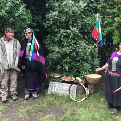 CulTour Mapuche "Ruka"