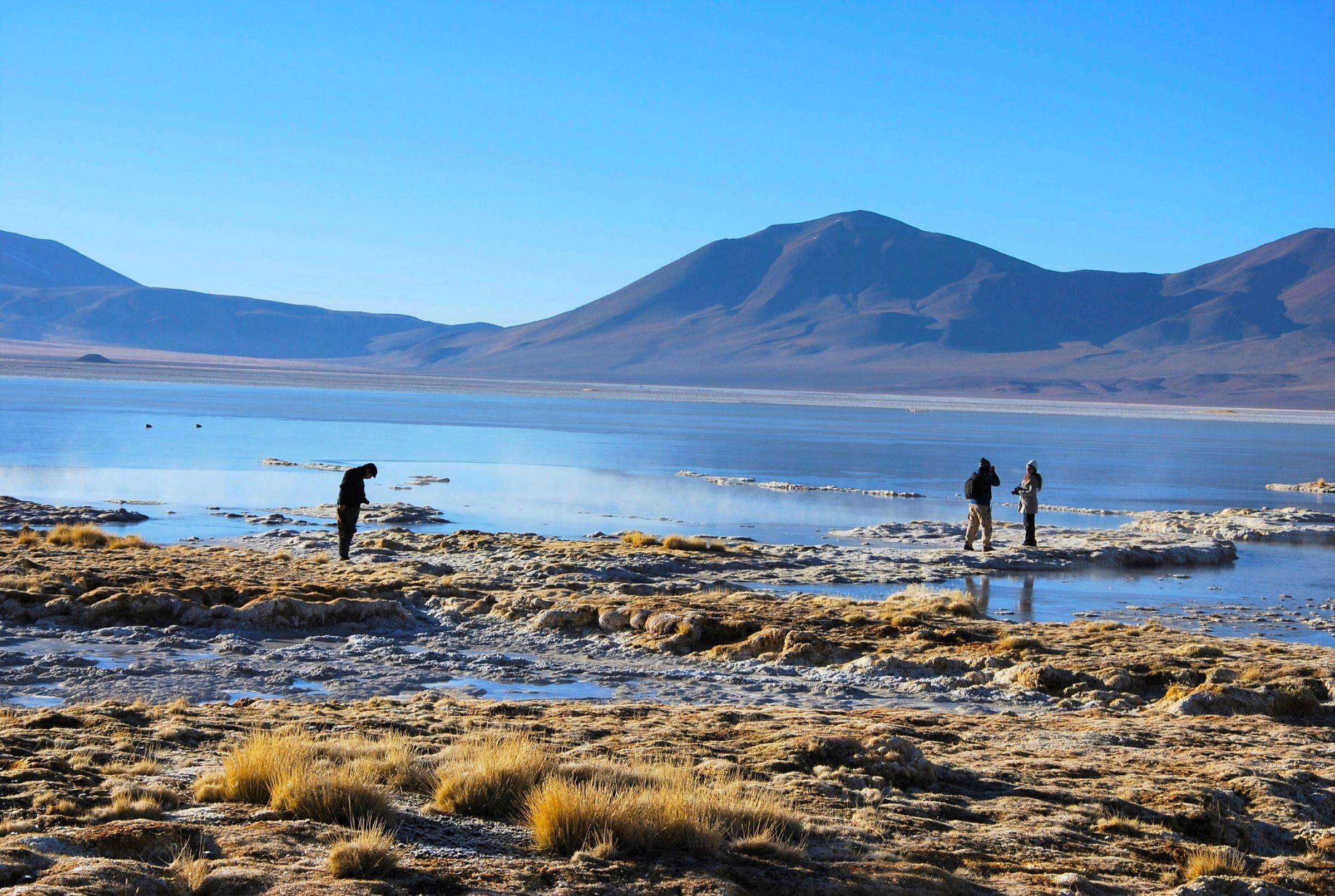 Tour al Salar del Huasco Parque Nacional