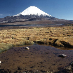 Expedición Volcán Parinacota