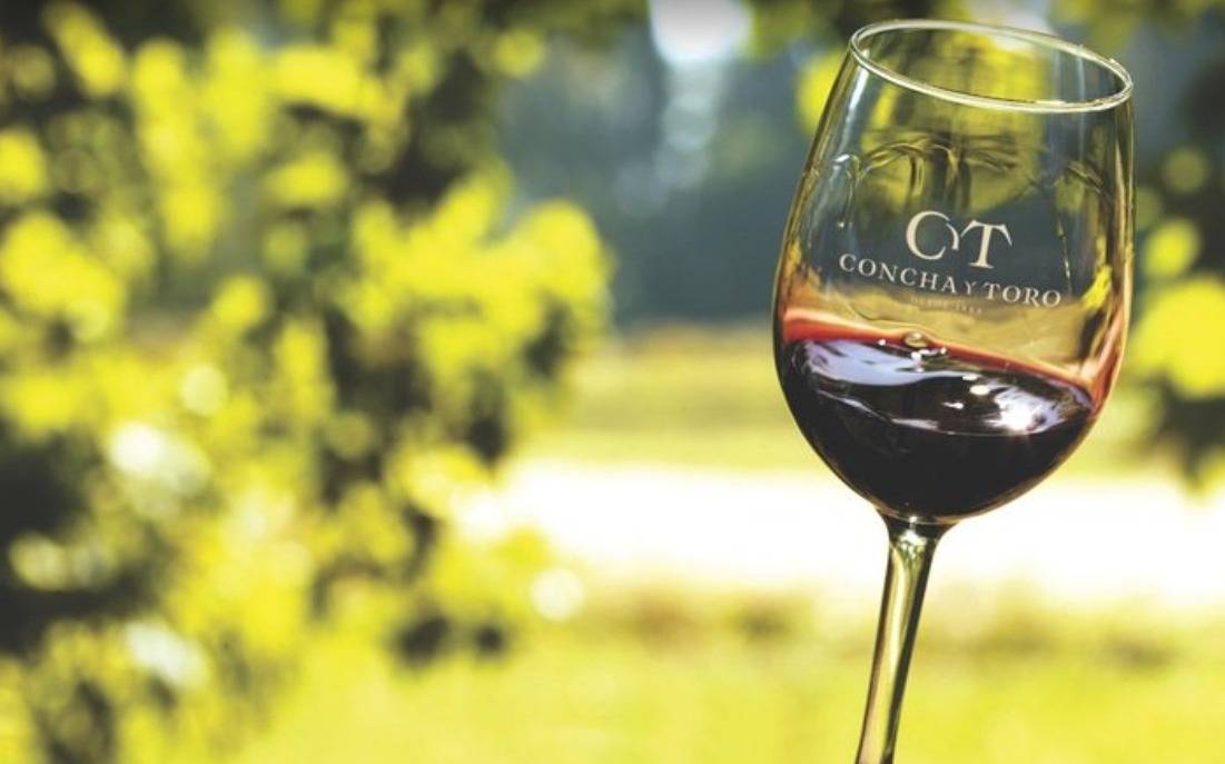 Tour Viña Concha y Toro Clásico incluye traslados