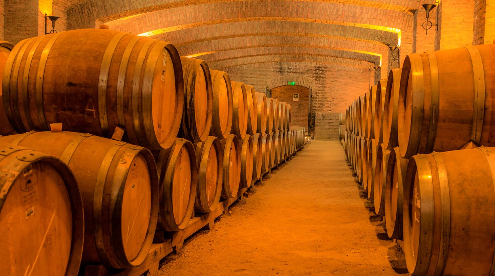 Viña Concha y Toro Tour Marqués
