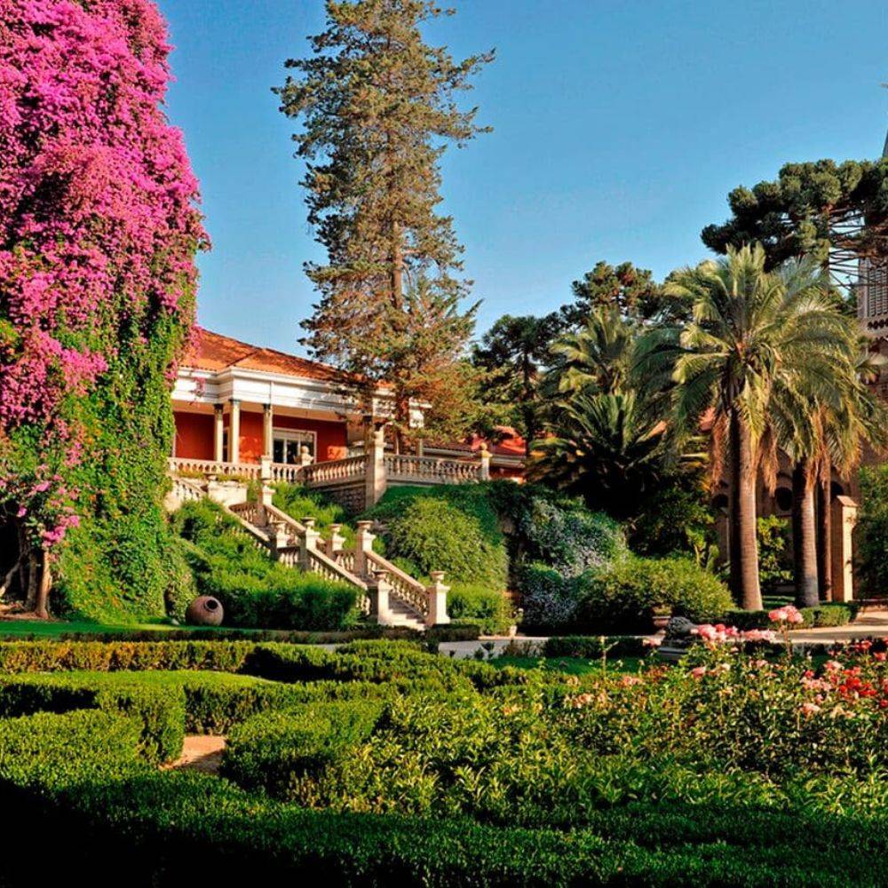 Viña Santa Rita Tour Clásico