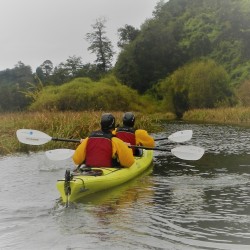Medio día de Kayak